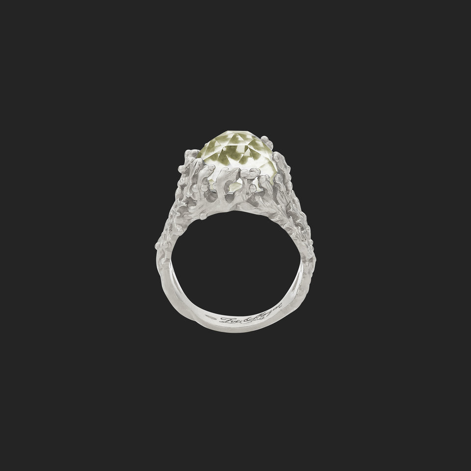 Zoe & Morgan - 'Seaweed' Ring - Lemon Quartz